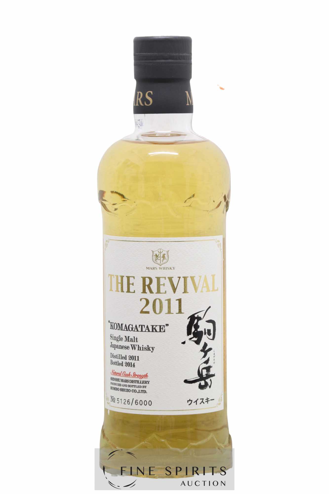 THE REVIVAL 2011 KOMAGATAKE