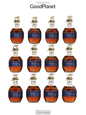 Bottles Blanton's Complete Set Single Barrel LMDW 2025 (12 bottles) ---- - Lot de 12 Bottles