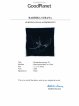 Ardbeg Artist n°15 - 2000 - 25 years (1 magnum and 1 Radhika Surana masterpiece)   - Lot of 1 Magnum